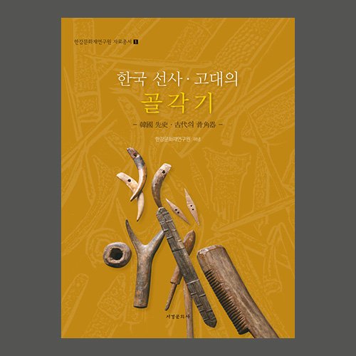 한국 선사·고대의 골각기  한강문화재연구원 / 서경문화사