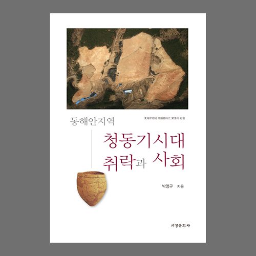 동해안지역 청동기시대 취락과 사회 박영구 /서경문화사